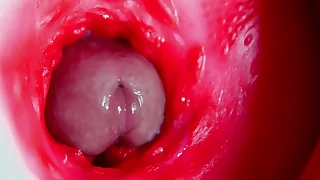 Juicy beautiful pussy squelches inside ASMR close-up inside the anus